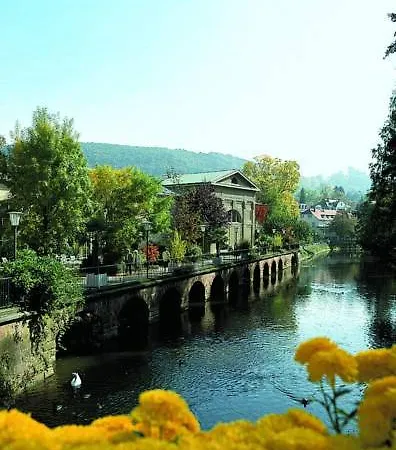 Steigenberger Hotel Bad Kissingen Hotel 5*